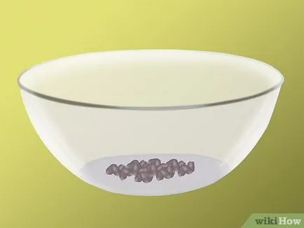 Hogyan növekszik szőlő magvak