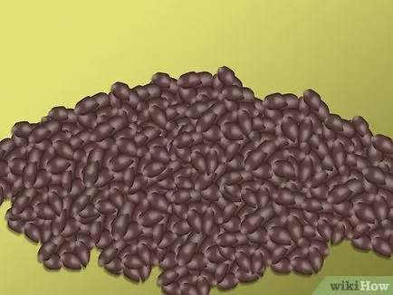 Cum să crească struguri din semințe