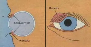 Капки от ечемик в окото