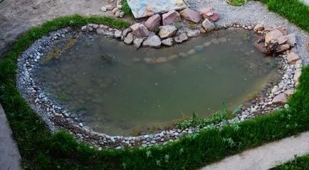Stones Pond amely faj alkalmas a tervezési és hogyan kell használni őket