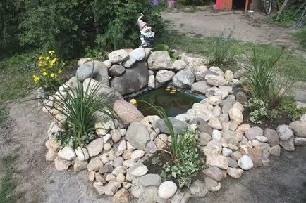 Stones Pond amely faj alkalmas a tervezési és hogyan kell használni őket
