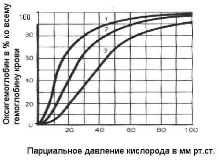 капилярите на белите дробове