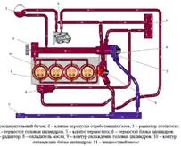 Clasificare 2 camioane