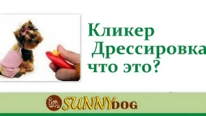 Clicker обучение - това е как работи