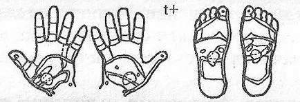 Китайска акупресура масаж на краката и ръцете