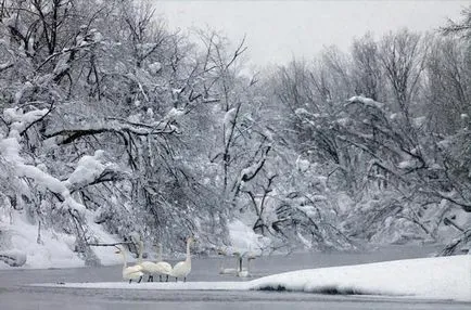 Климатът на Далечния изток България