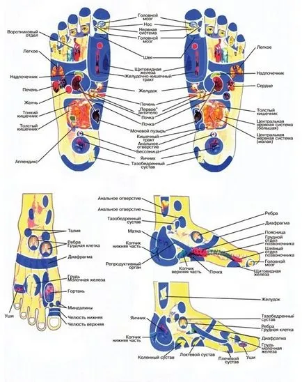 Китайска акупресура масаж на краката и ръцете