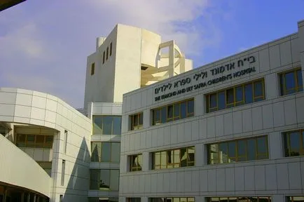 Shiba Kórház, Tel Hasomér