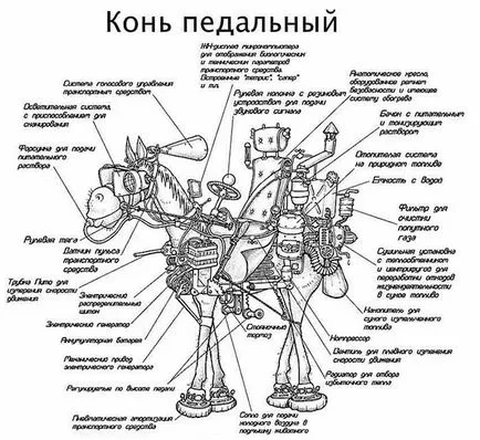 Конна и краката компания