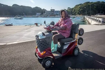 Cat Power itt, vagy egy hosszú séta a sziget körül macskák