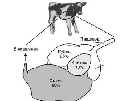 заместители на майчина кърма и