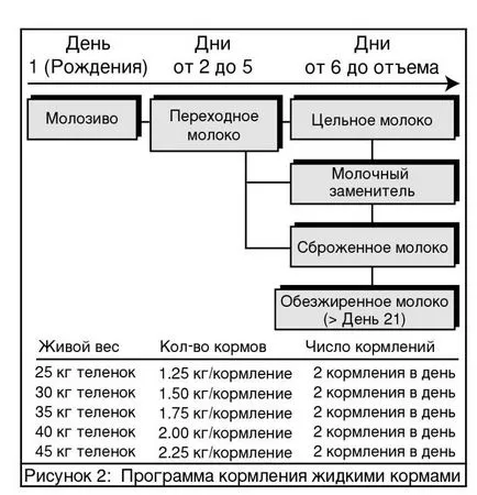 заместители на майчина кърма и