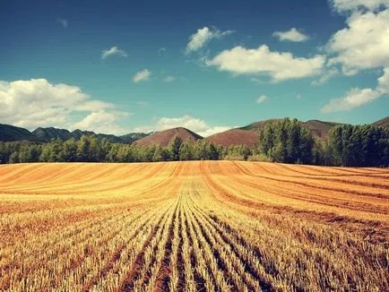 Împrumut garantat de teren agricol