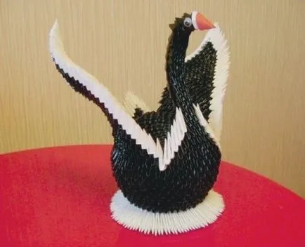 Swan „Prințul negru“