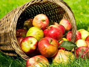 5 Митове за ползите от ябълки