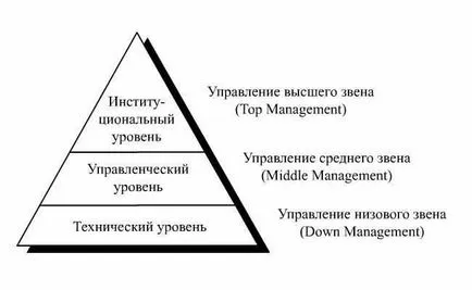 1 Concepte de bază care descriu structura și funcționarea sistemului