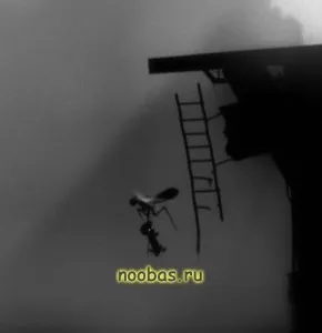 Limbo пасаж