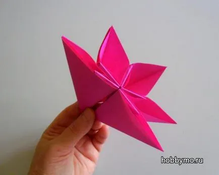 Master class modul de a face flori Kusudama mingii - hobby-Sea