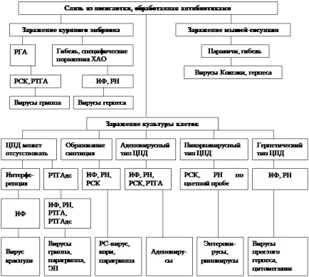 Metode de diagnosticare rapidă a comune