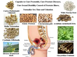 Cât de eficiente de tratament de remedii populare HBP - plante aromatice