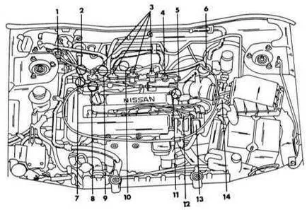 Nissan primera, reglarea momentului aprinderii Nissan Exemplu