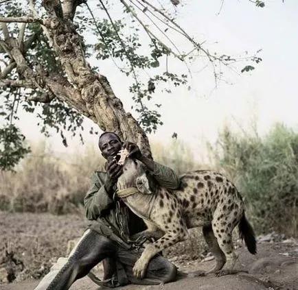 Szokatlan háziállat kenyaiak