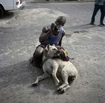 Szokatlan háziállat kenyaiak