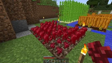 Infernal szemölcs a Minecraft