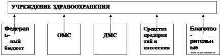 Организация на данъчно облагане Общинска здравна институция 