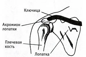 Къде са болката в ключицата, минаваща през врата и предмишницата