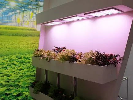 Plante de iluminat în modul special cu efect de seră, mâinile, lampă, lămpi, cu LED-uri,