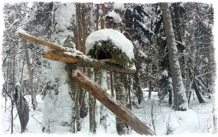 Vânătoare pentru Sable momeală