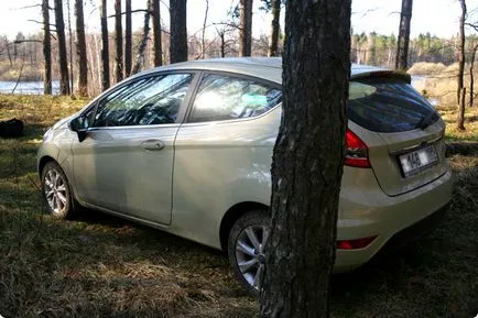 Recenzii de fiesta ford