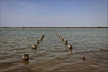 Lake Moinaki (Moinakskoye), местоположение, ревюта, насоки, реки, езера, заливи