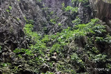 Kuala Lumpur, fotografii Batu Caves, direcții, ce să vezi