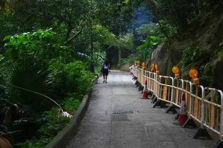 Victoria Peak din Hong Kong - cum să ajungi acolo și ce să facă