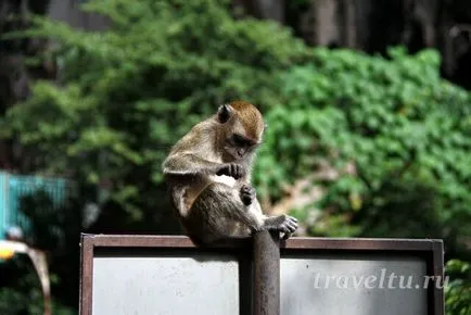 Batu Caves - hindu templomok a barlangokban a kréta időszak