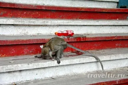 Batu Caves - индуски храмове в пещерите на периода Креда