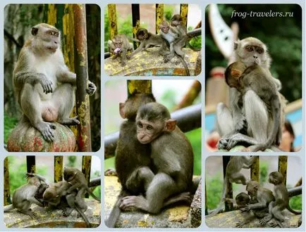 Batu Caves в Куала Лумпур или най-големия индийски храм в Малайзия