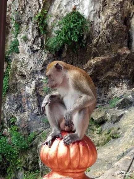 Kuala Lumpur, fotografii Batu Caves, direcții, ce să vezi