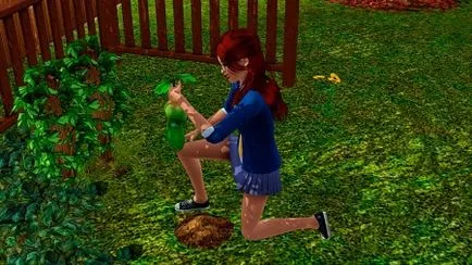 Растенията в Sims 3 студент живот, -rasteniya Sims в The Sims 3