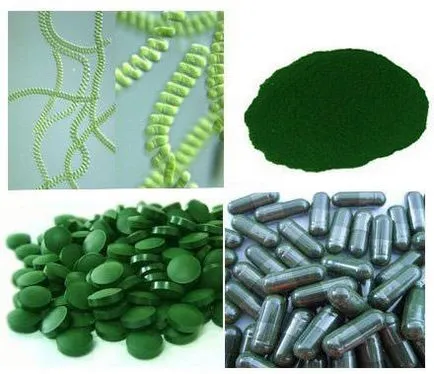 Proprietăți utile și aplicații de Spirulina platensis, Spirulina slăbire