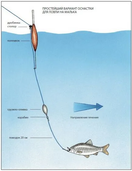 Float справяне на щука на жива стръв за риболов - устройството и монтаж