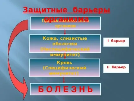 Представянето на урока - имунология услуга на здравето - биологията, презентации