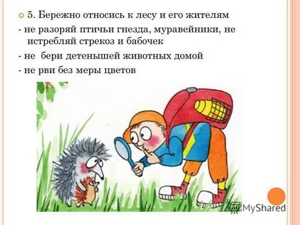 Представяне на на аа нужда да се държи в гората подготвен ученик 5 - б - клас Anikeeva Ксения