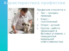 Prezentarea pe „medic veterinar profesie“