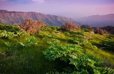 Natura Uzbekistan în care trăiesc uzbeci, fotografii de știri