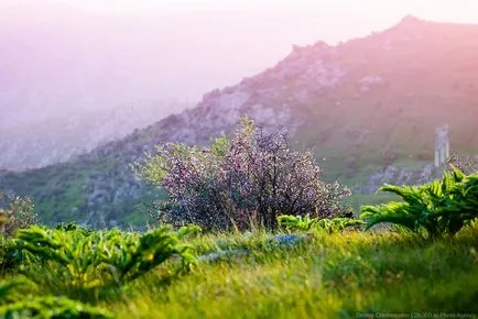 Natura Uzbekistan în care trăiesc uzbeci, fotografii de știri