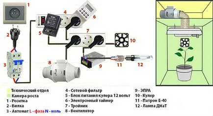 Szakmai led üvegházakban, nátrium, az energiatakarékosság, a választás a világítás, valamint