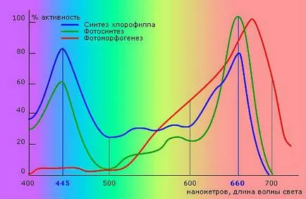 Професионални довели светлини за оранжерии, натрий, пестене на енергия, изборът на осветление, както и